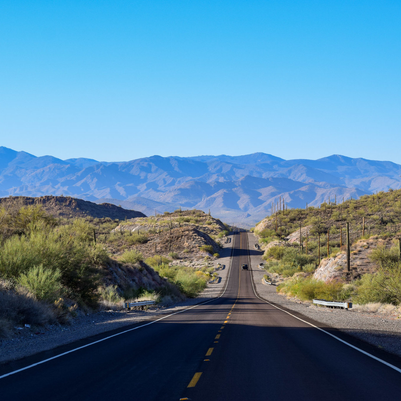 Mountains, Cactuse, Arizona