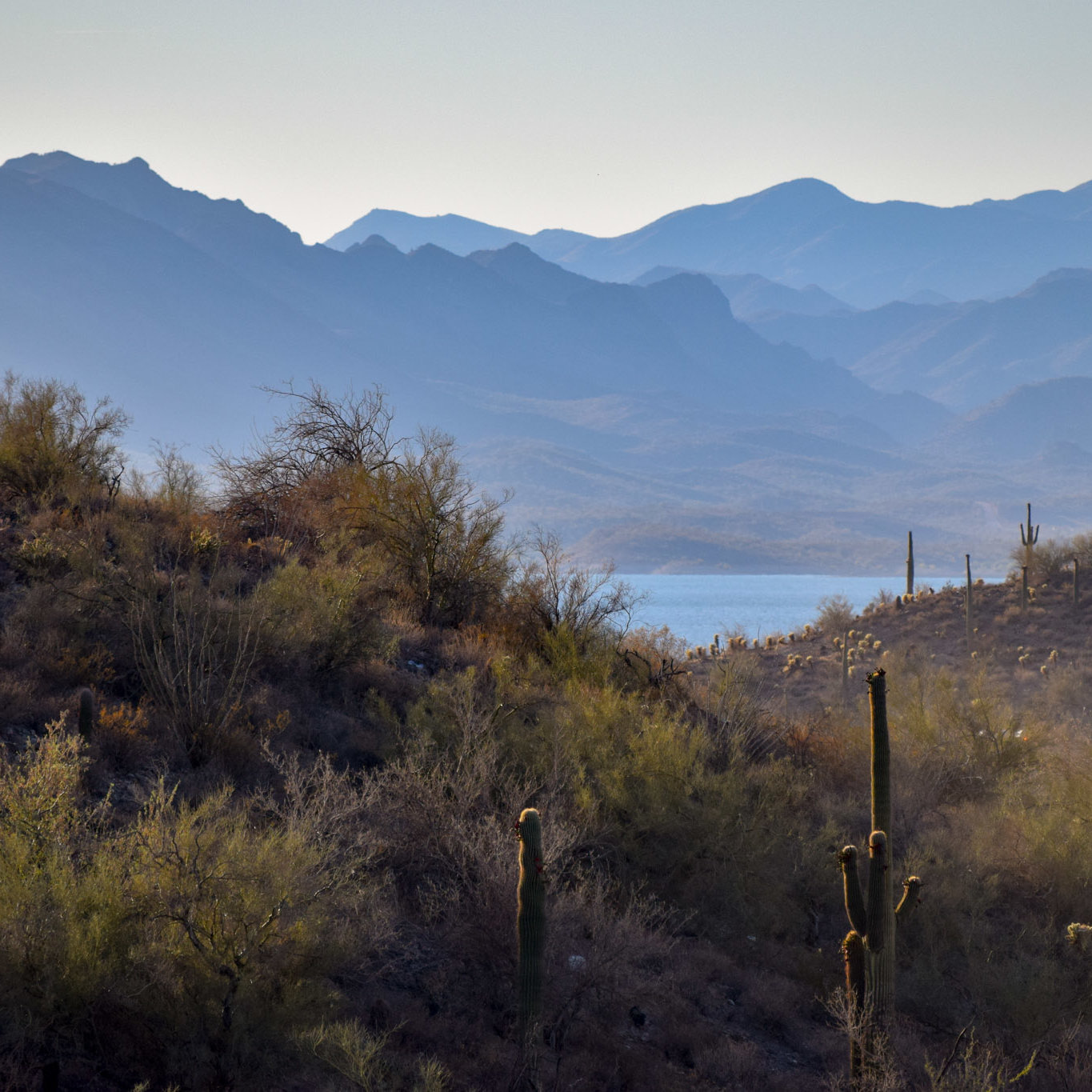 Mountains, Lake, Arizona