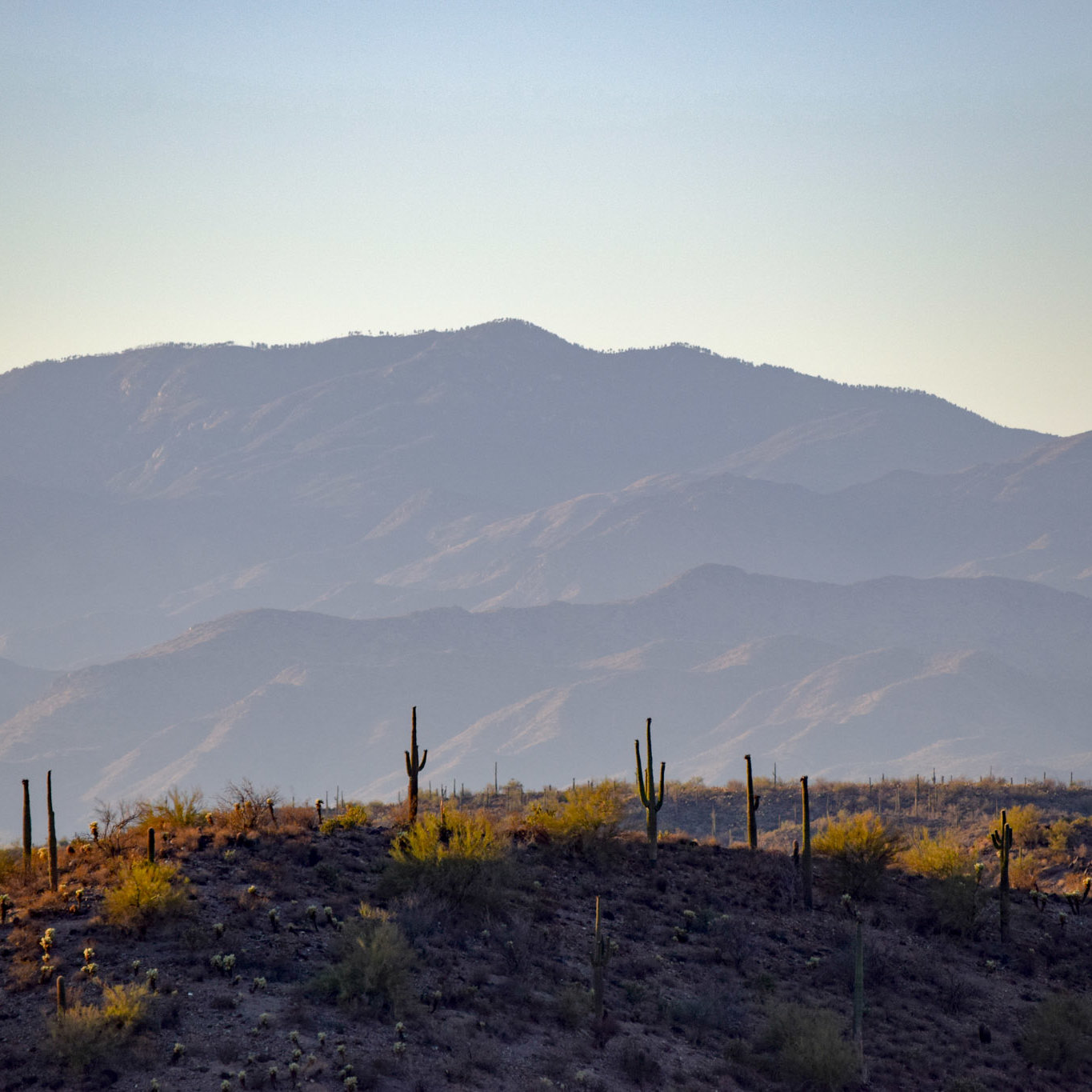 Mountains, Cactuse, Arizona
